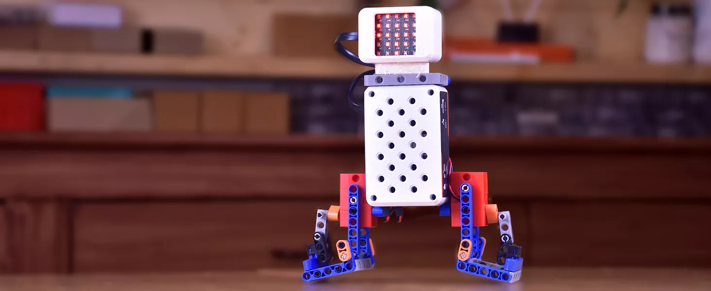 Humanoid Robot
