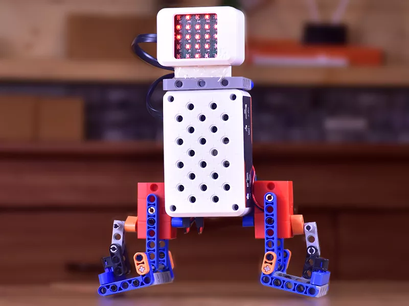 Humanoid Robot